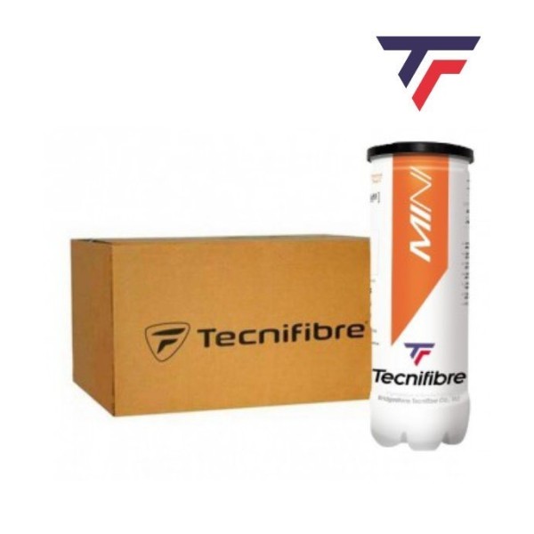 CAJÓN PELOTAS TECNIFIBRE MINITENIS 24 B3 | Ipontennis