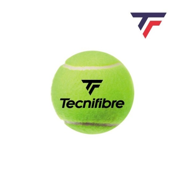 BOLAS TECNIFIBRE BIPACKS X 4 CLUB PET | Ipontennis