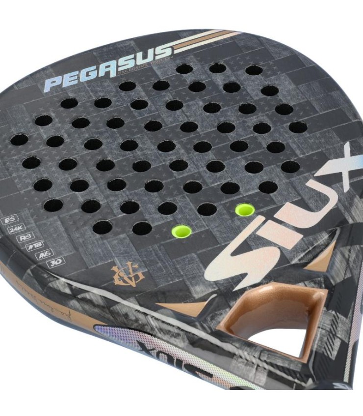 Padel racket Siux Pegasus GV Edition | Ipontennis