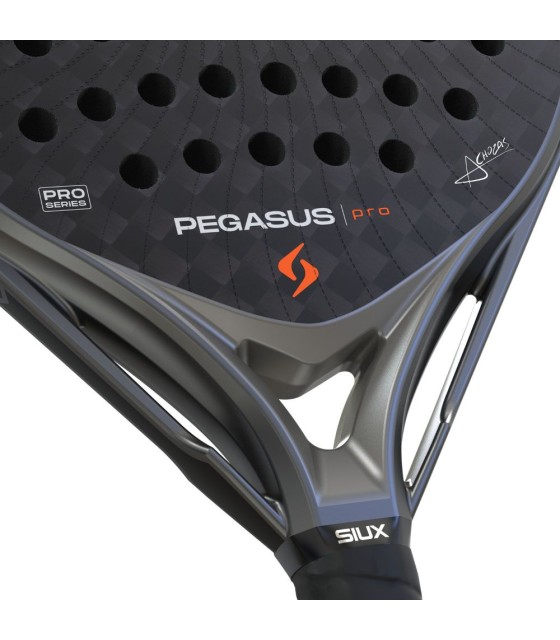 Paddle shovel SIUX Pegasus Pro 2026 - Versatility and power