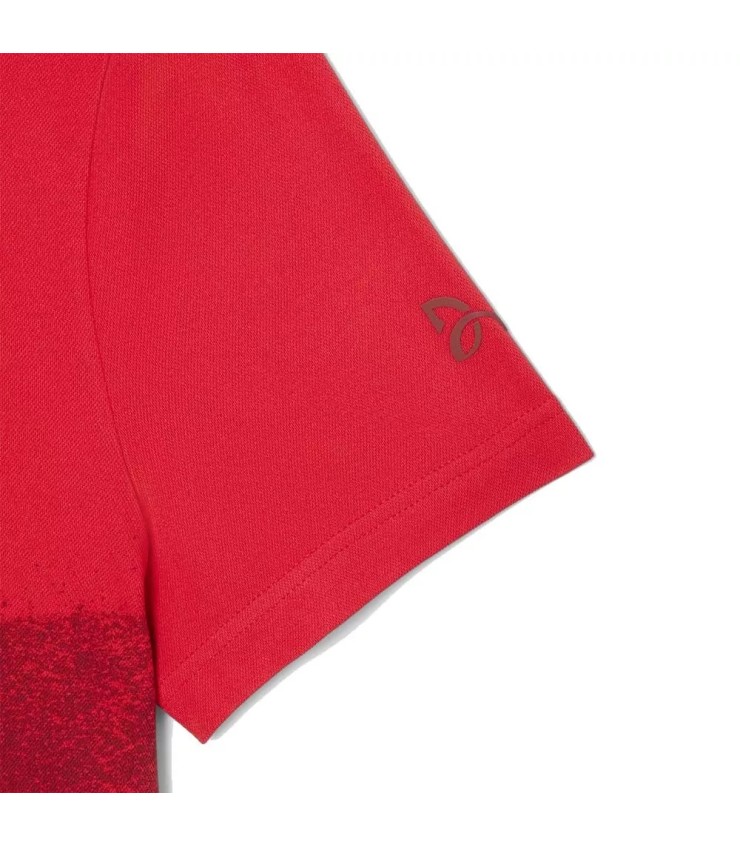 Polo Lacoste Tennis Novak Djokovic Red / Bordeaux Fan | Ipontennis