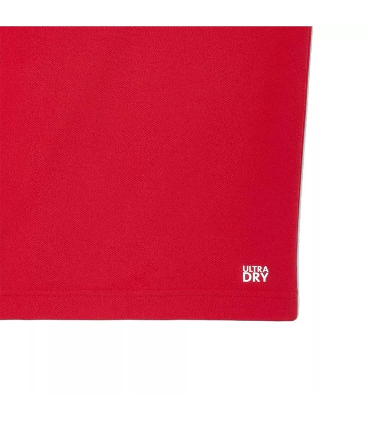 Polo Lacoste Tennis Novak Djokovic Rouge / Bordeaux Fan | Ipontennis