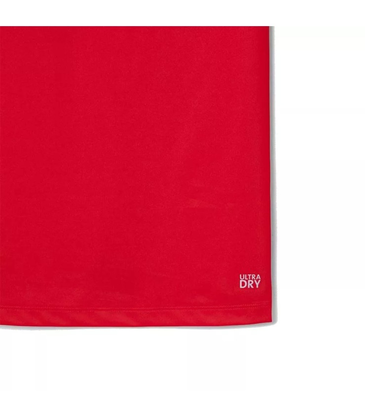 Polo Lacoste Tennis Novak Djokovic Player Paris Red | Ipontennis