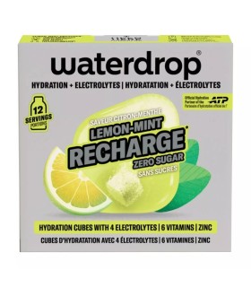 Citron d'eau Citron / Mint Recharge X12 1