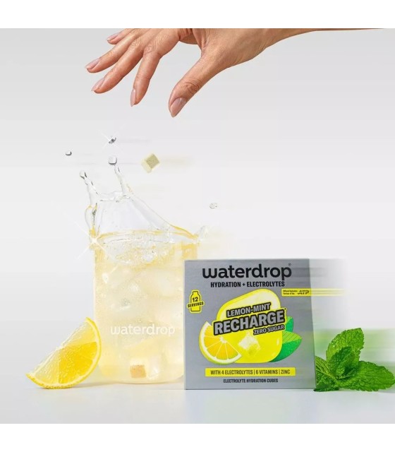 LEMON / MINT DA WATERDROP / MINT RECARGE X12 2
