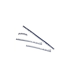 Juego de protector y ojales Wilson Clash 100 Pro V2 1