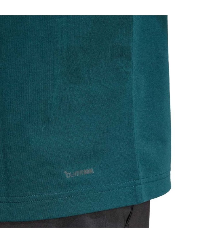 Adidas gráfico verde património t-shirt 2
