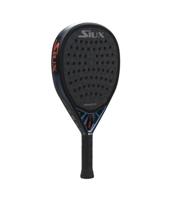 SIOUX PEGASUS 3 2025 3