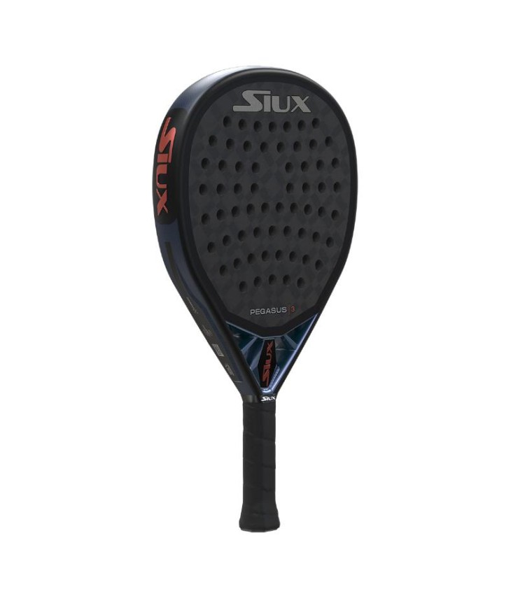SIOUX PEGASUS 3 2025 3