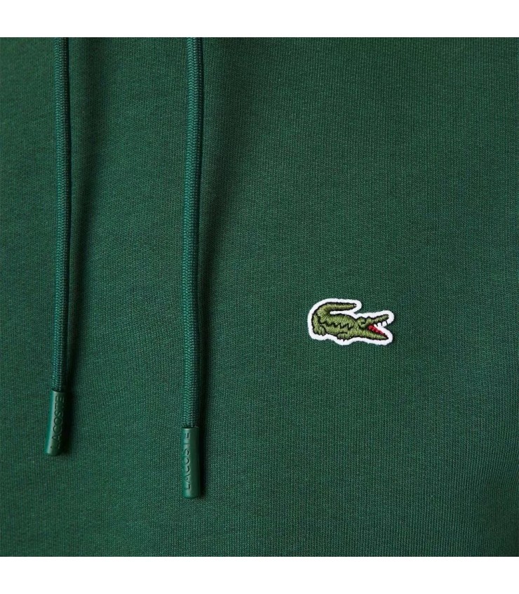 Waldgrüner Pullover von Lacoste | Ipontennis