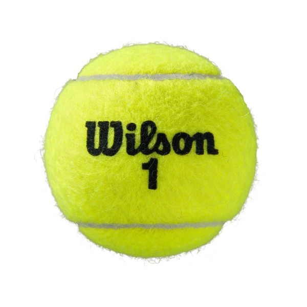 Caja de 9 botes Wilson Roland Garros All Court 2