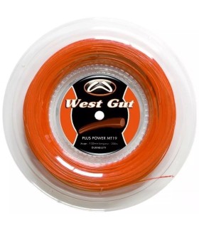 West-Gut Plus Power Power Orange Power MT19 200m | Ipontennis