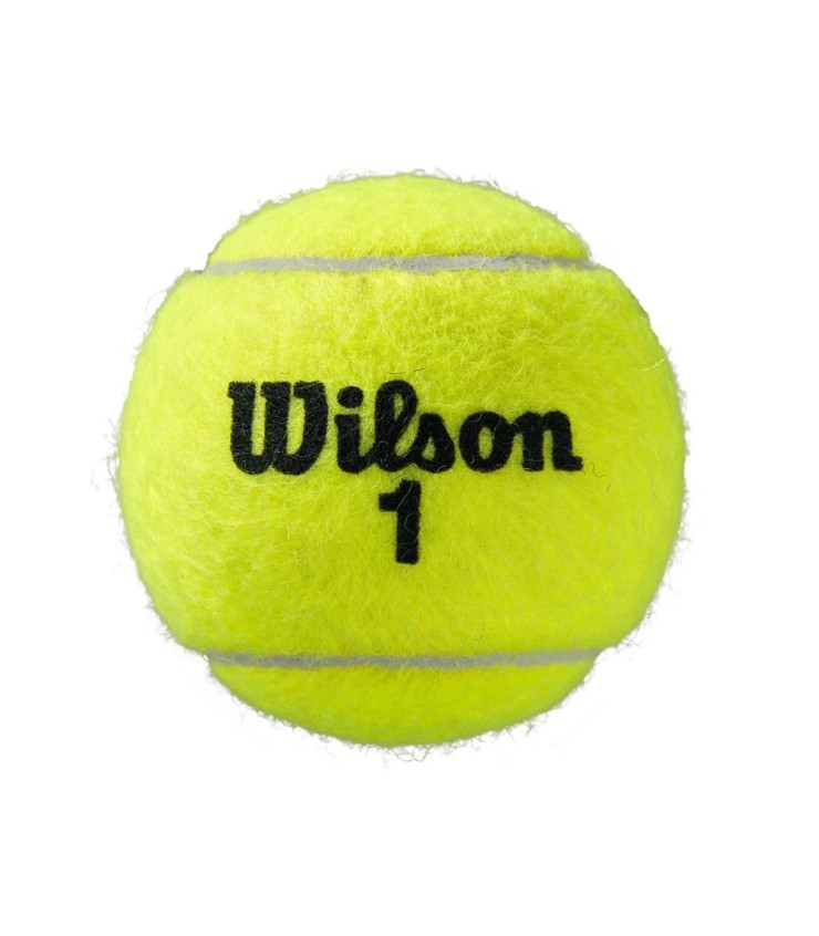 Tube of 4 Balls Wilson Roland Garros All Court | Ipontennis