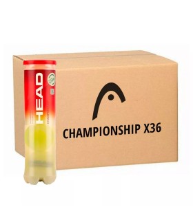 575204-C1 Caja con 36 latas de 4 pelotas cada una, modelo Head Championship.